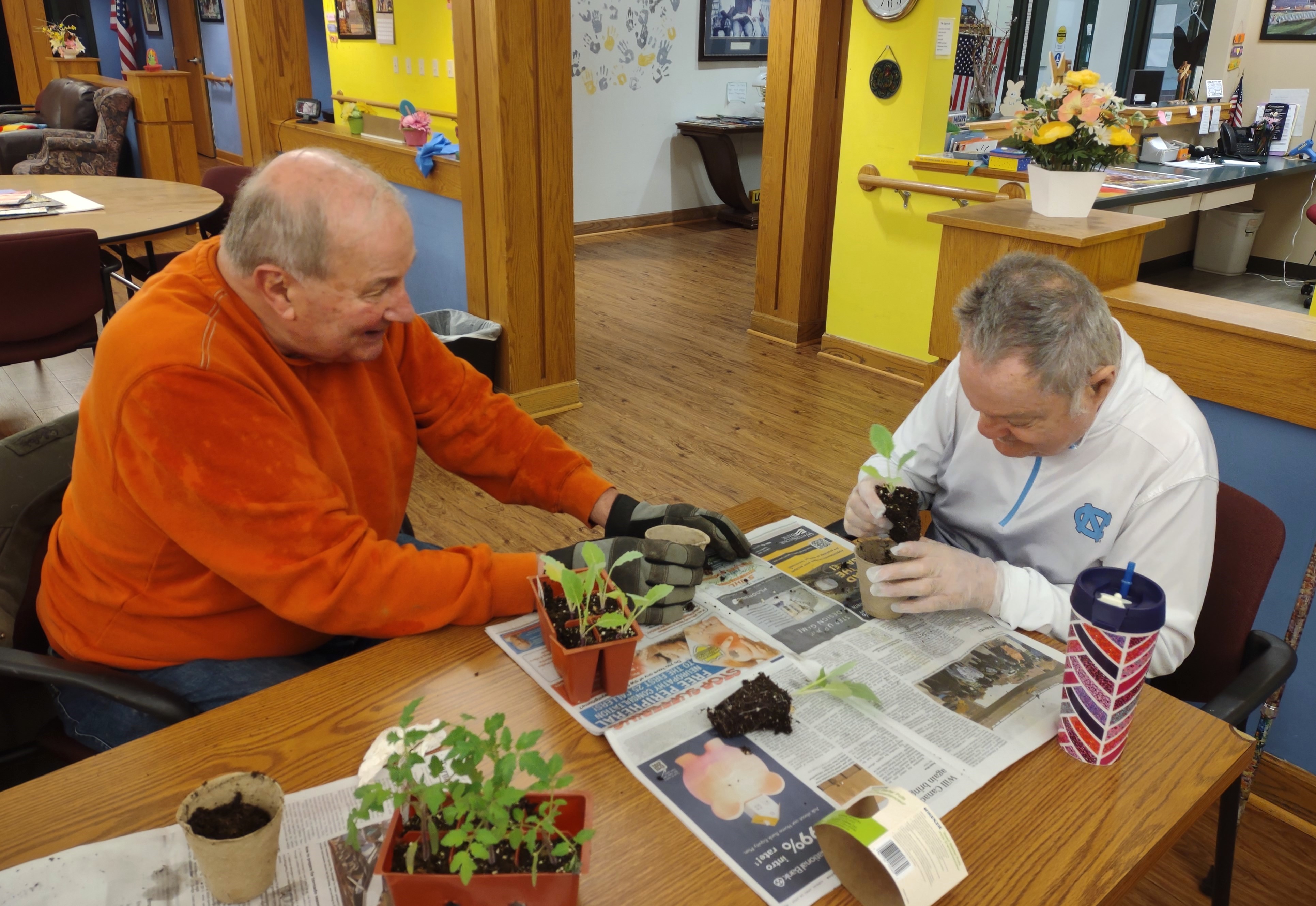 Volunteer planting vegetables